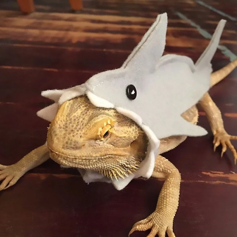 Shark Shape Lizard Costume for Bearded Dragon Reptiles Clothes Small Pet Gecko | Дом и сад