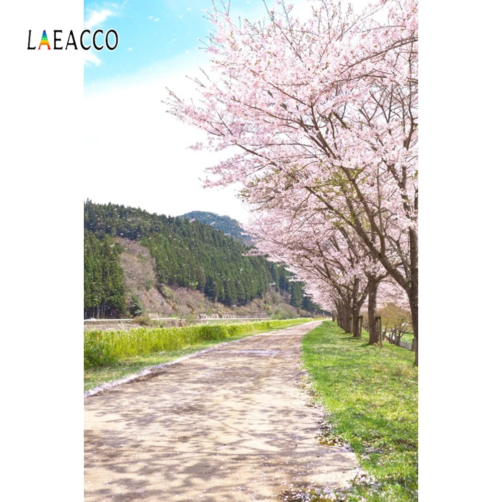 Laeacco весенний портрет Фотофон лес цветущие деревья дорога фотография фоны для