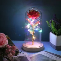 2021 LED Enchanted Galaxy Rose Eternal 24K Gold Foil Flower With Fairy String Lights In Dome For Christmas Valentine's Day Gift