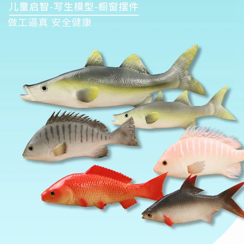 1 шт. имитация рыбы карпа окуня морской огурец модель еды реквизит украшение окна