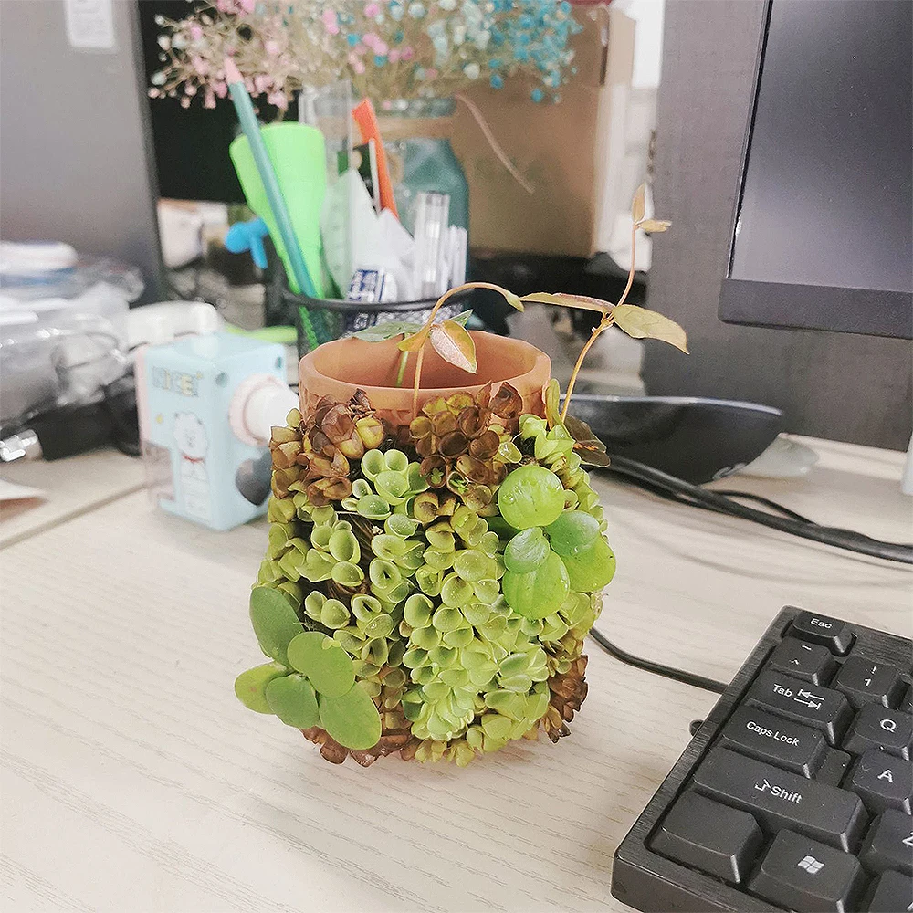 Самостоятельный цветочный горшок с системой полива керамические цветочные