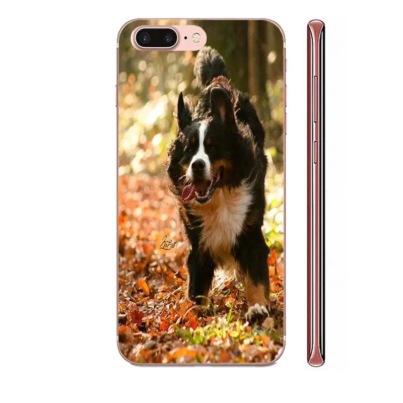 Soft TPU Stylish Case Bernese Mountain Dog For Apple iPhone 4 4S 5 5C 5S SE SE2 6 6S 7 8 11 Plus Pro X XS Max XR | Мобильные