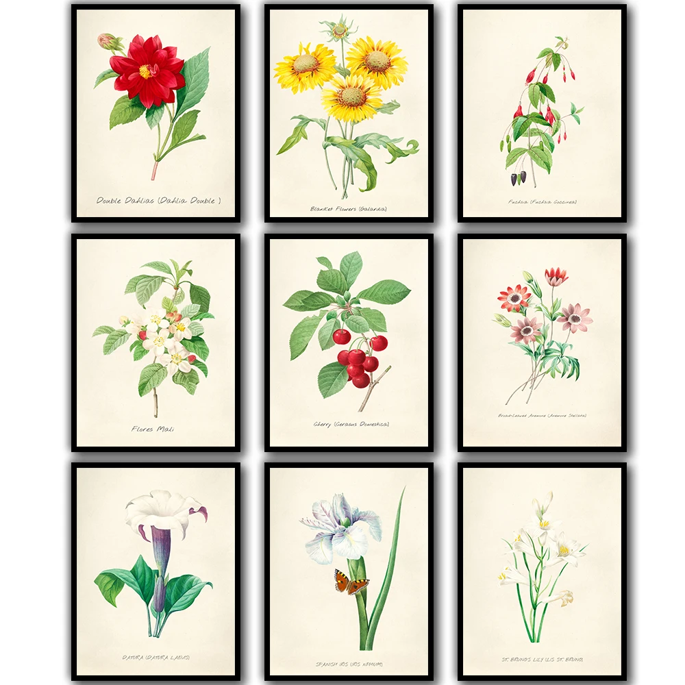 

Modern Room Print Set of 9 Wildflower Botanical Wall Painting Vintage Flower Kitchen Trends Farmhouse Art No Frame Pictures
