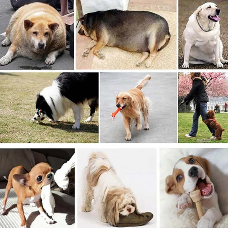 

Durable Funny Toy Of Pet Dog Plush Toys With Cute Animals Shape Interactive Toys Clean Teeth Of Pets 3 Colors