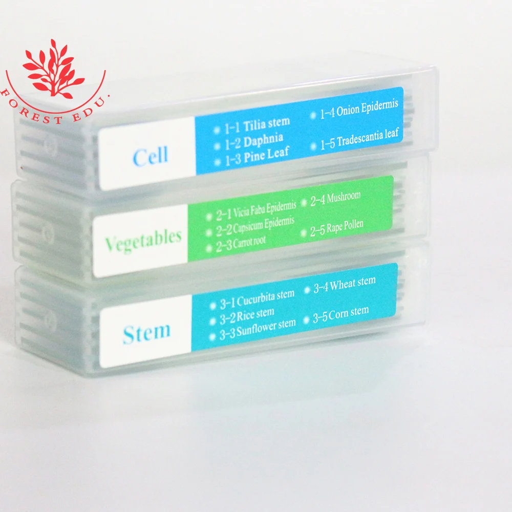 Подготовленные горки для студентов 35 шт. биологический образец искусственные