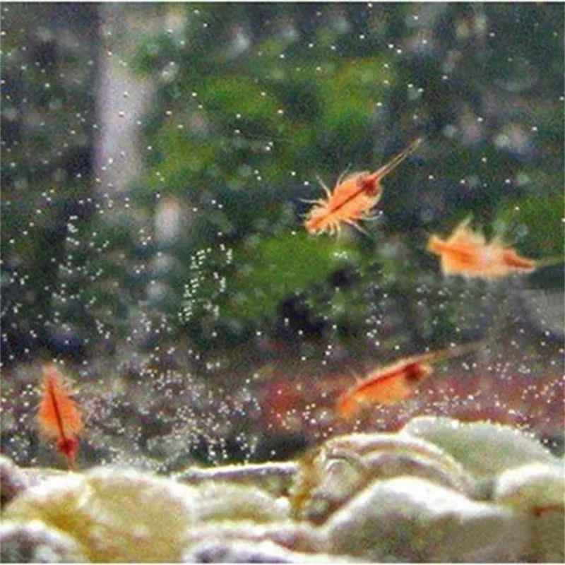 

Science Nature Live Sea Prehistoric Creatures Instant Growing Life Kits