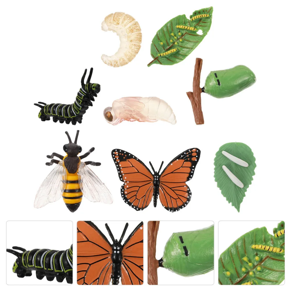 

2 Sets Insects Growth Cycle Model Simulation Butterflies Bee Growth Cycle Models