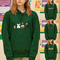 womens cute hoodie 2021 sweatshirts autumn new cartoon animal print hoodie korean harajuku womens tracksuit shirt pullover