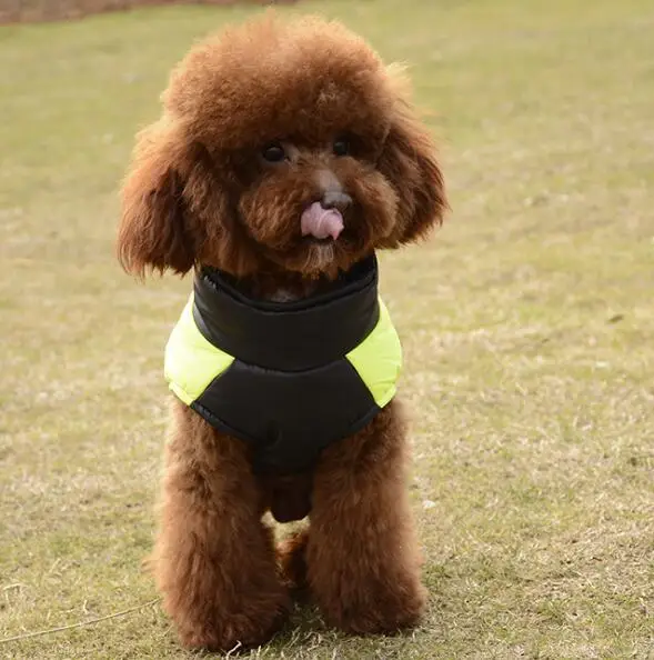 Winter Warm Pet Dog Vest Clothes Goods Waterproof Zip-up Coat Jacket For Small Dogs Puppy Cat Raincoat Apparel DOGGYZSTYLE