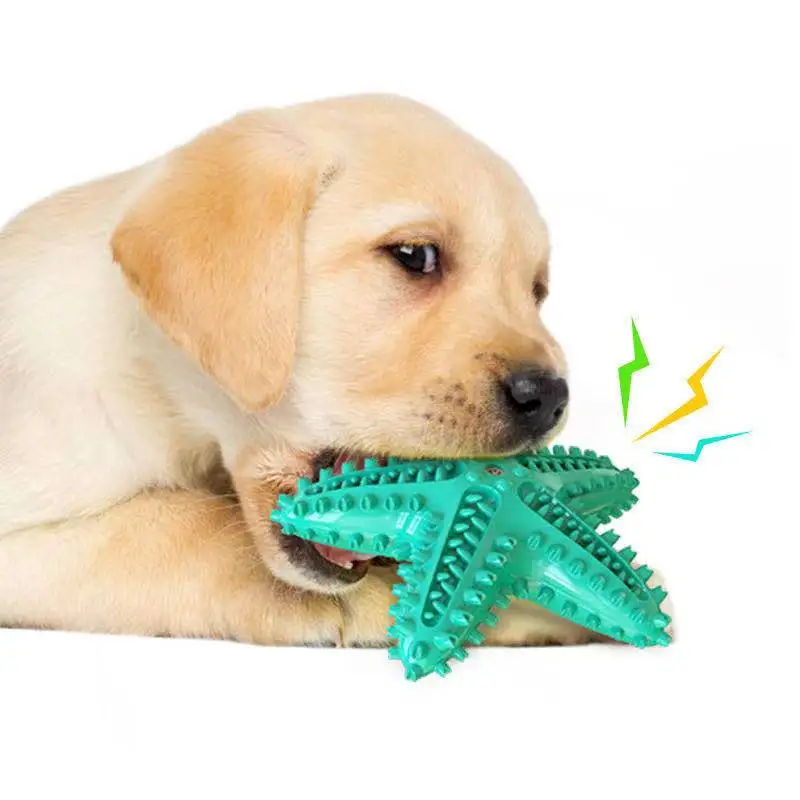Игрушка для собаки в форме жевательные игрушки собака Зубная щётка Pet молярная
