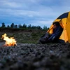 Изображение товара 5