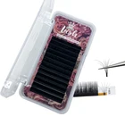 Высокое качество частная марка светильник Вес Цветущий вентилятор для наращивания 0,050,07 наращивание ресниц лоток легко сделать вентилятор наращивание ресниц