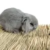 Изображение товара 1