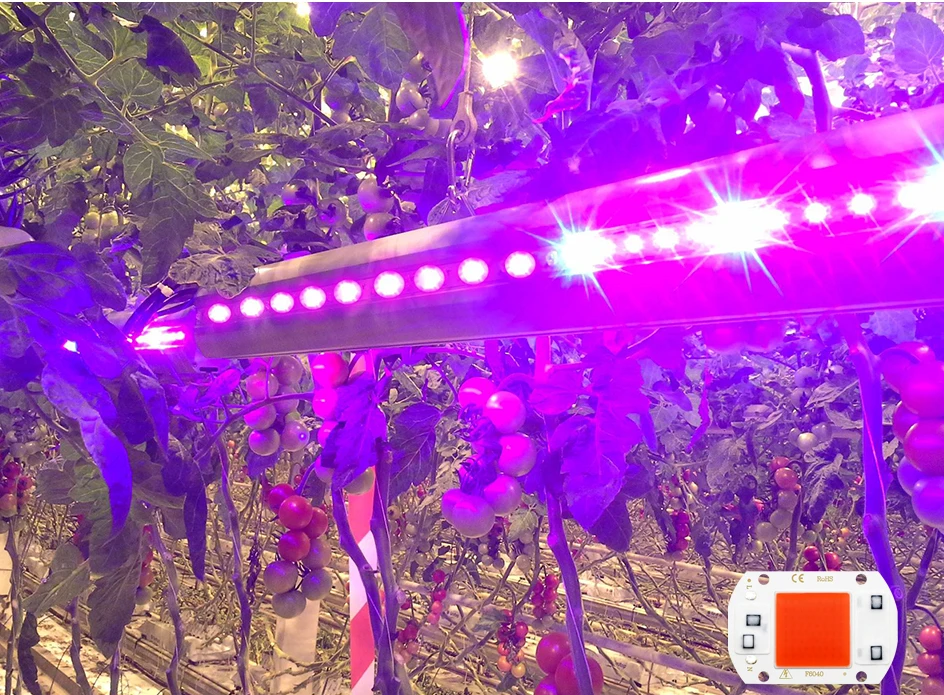 Светодиодный чип COB AC 220 110 В 50 Вт 30 Вт 20 Вт 10 Вт COB светодиодный светильник Diy для прожектора, не нужен драйвер, высокая яркость