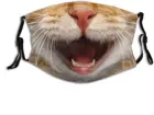 Маска для лица Smile ткань для кошек с фильтром, карманная моющаяся многоразовая Балаклава Бандана для лица с 2 фильтрами