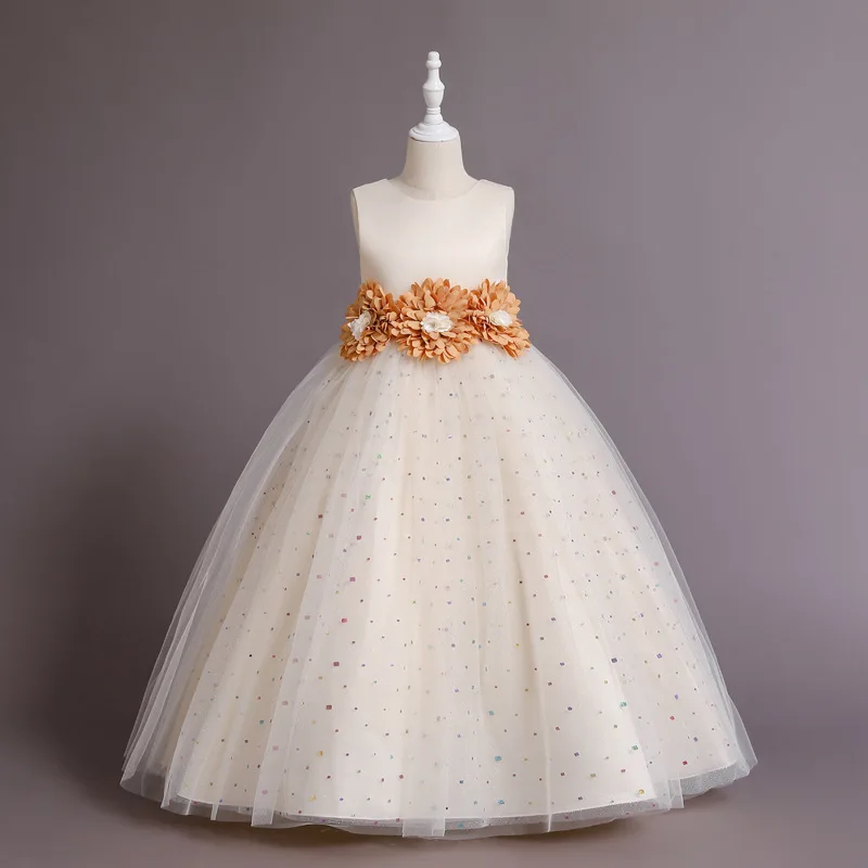 

Girls' Princess Dress Children's Dress Flower Children's Wedding Dress Fluffy Dress Performance Dress Short Evening Dresses