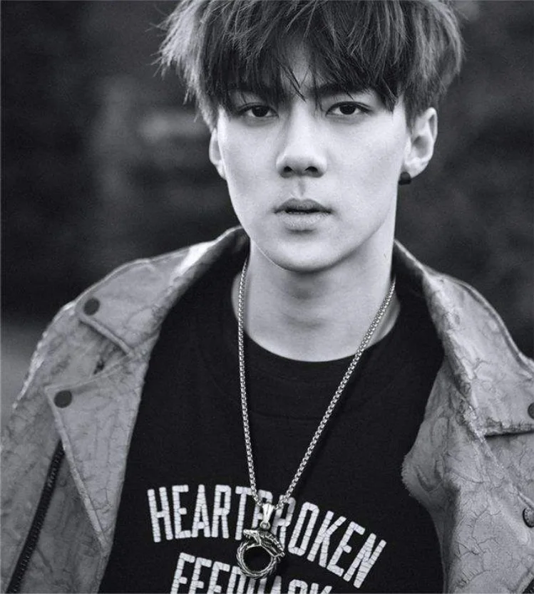 Пистолет Новая мода Китай длинный дракон Подвески Круглые крест цепи Короткие