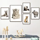 Детские животные, тигр, медведь, олень, панда, Зебра, енот, настенная живопись, холст, скандинавские постеры и принты, настенные фотографии, декор для детской комнаты