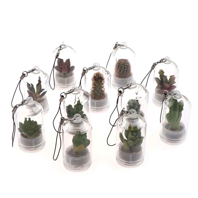 

Many Sorts Of Cactus Miniature Succulent Cactus Terrarium Wearable Necklace Live DIY Succulent Plant Pendant Random Style