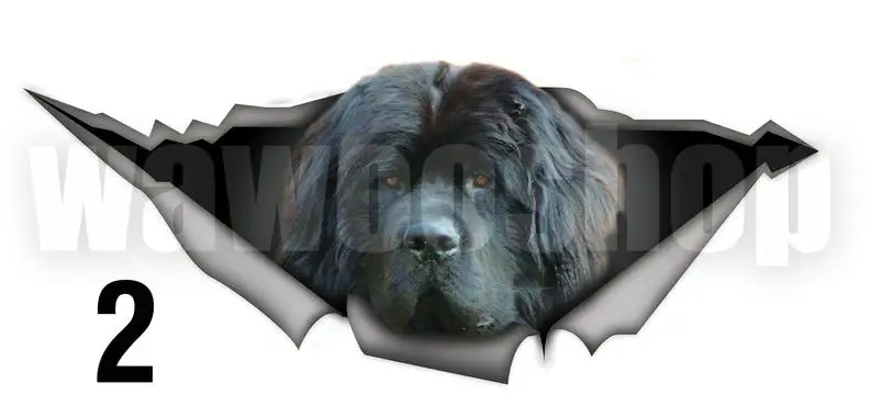 

2021 Newfoundland car sticker , dog car decal, Newfie decal, car decoration, pet decal