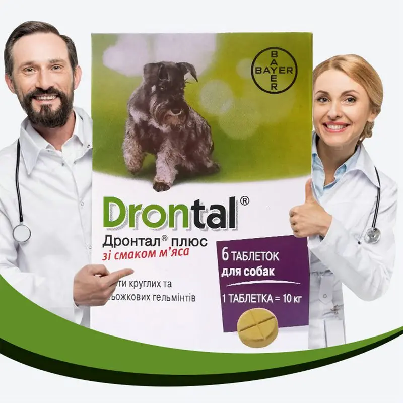 

Drontal Plus Perros Drontal Plus Allwormer For All Size Dogs And Puppies - Dog Worming Puppy Worme
