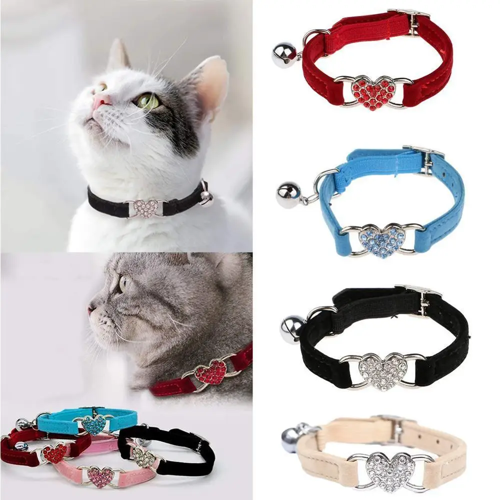 Ошейники для котов бантики. Котик в ошейнике. Ошейник кошка. Ошейник кошка. Ошейники от блох котятам кошкам.