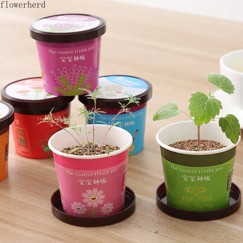 Для посадки студентов микро ландшафтного дизайна для мини небольшие украшения