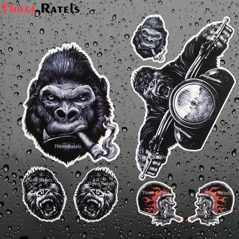 

Виниловая наклейка на лобовое стекло Three Ratels A528