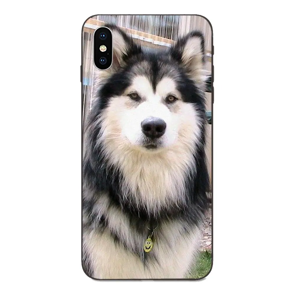 as picture Мягкий чехол для Huawei Honor 5A 6A 6C 7A 7C 7X 8A 8C 8X9 10 P8 P9 P10 P20 P30 Мини Lite Plus самоед милая собака - Цвет: as picture
