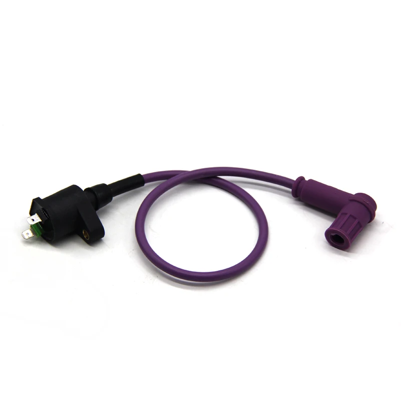 

Racing Ignition Coil For Dirt Pit Bike 90 110cc 125cc 150cc CRF50 SSR Thumpstar