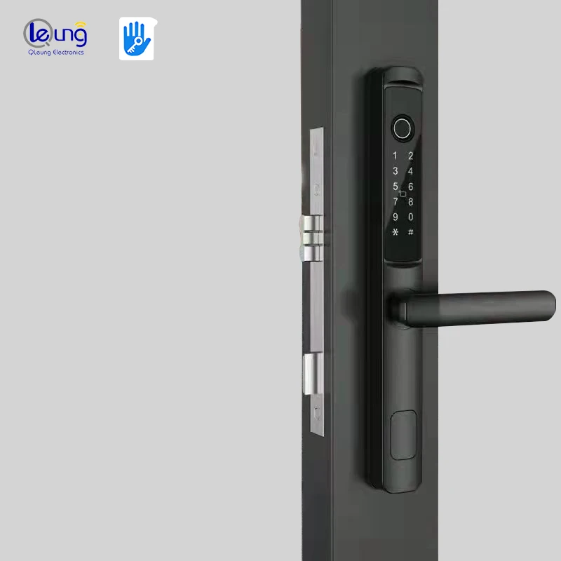 Заводская цена S617 цифровой водонепроницаемый пароль ключ карта Wifi TTlock отпечаток