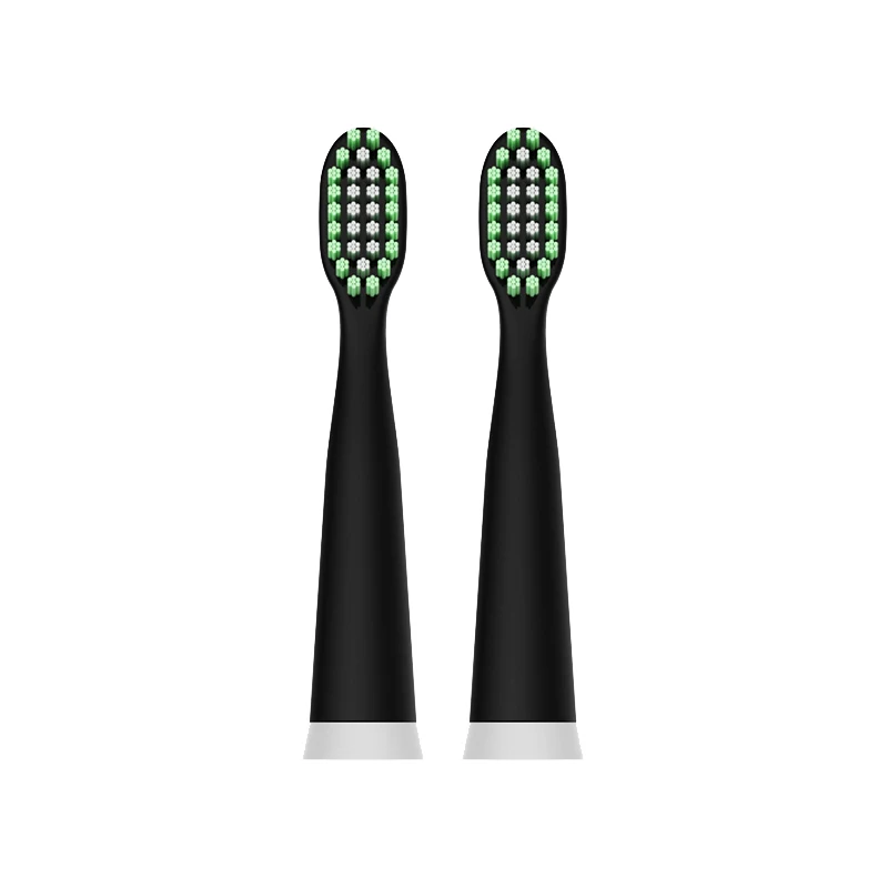 black 2 pieces Langtian 4 шт. 2 шт. головка звуковой зубной щетки DUPONT сменные головки для электрической зубной щетки подходит для Langtian Z02 Z03 Z06 Z08 Z09 Z18 - Цвет: black 2 pieces