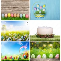 easter eggs photography backdrops photo studio props spring flowers child baby portrait photo backdrops 21126 fhj 01