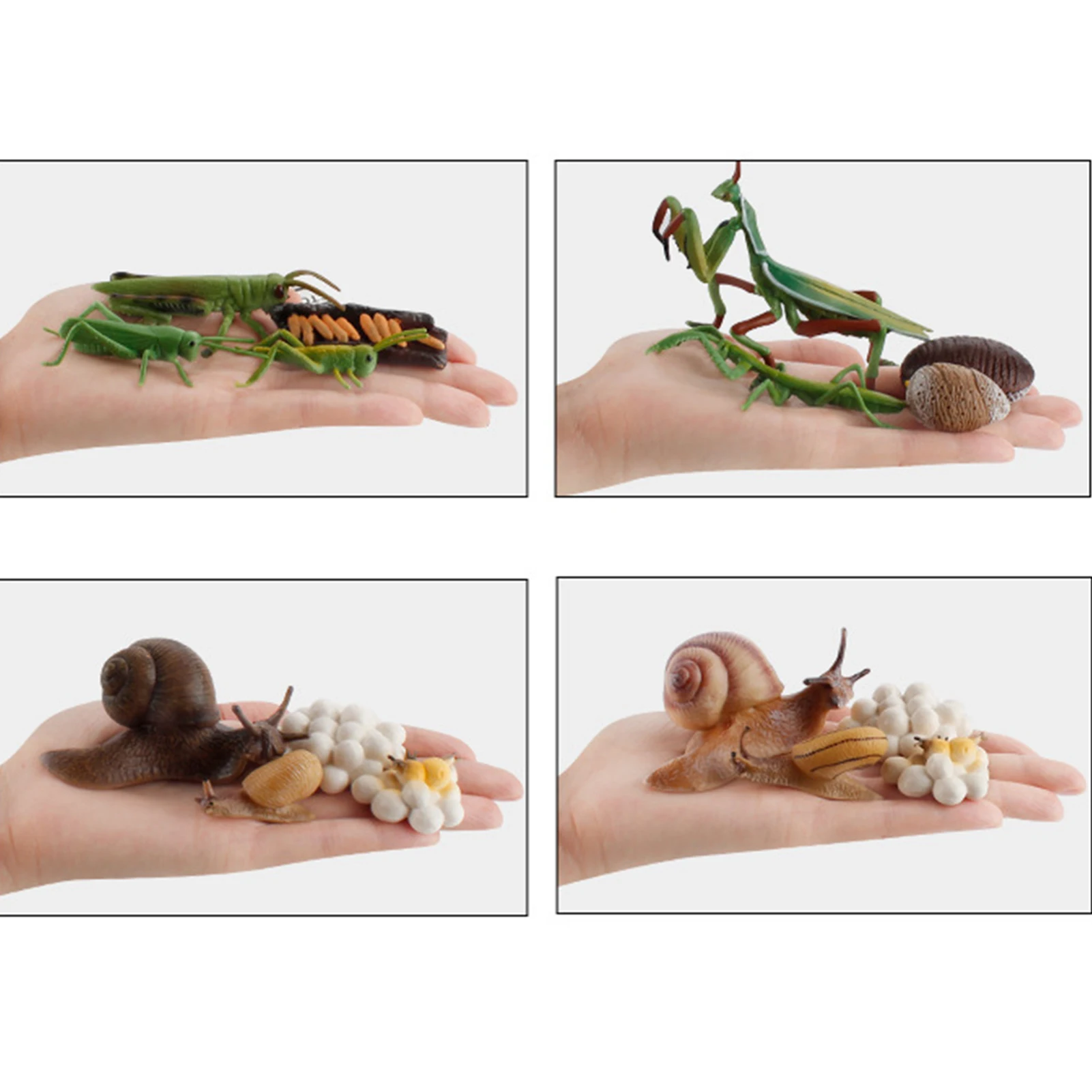

4Pcs/Set Insects Life Cycle Figurines Early Cognitive Education Model Ornament Kids Educational Toys for Children Gifts