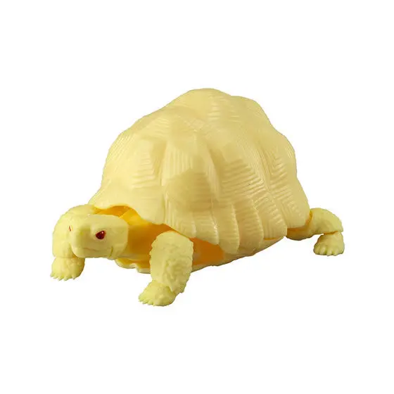 Bandai натуральная Gacha игрушка морская черепаха модель черепахи игрушки |
