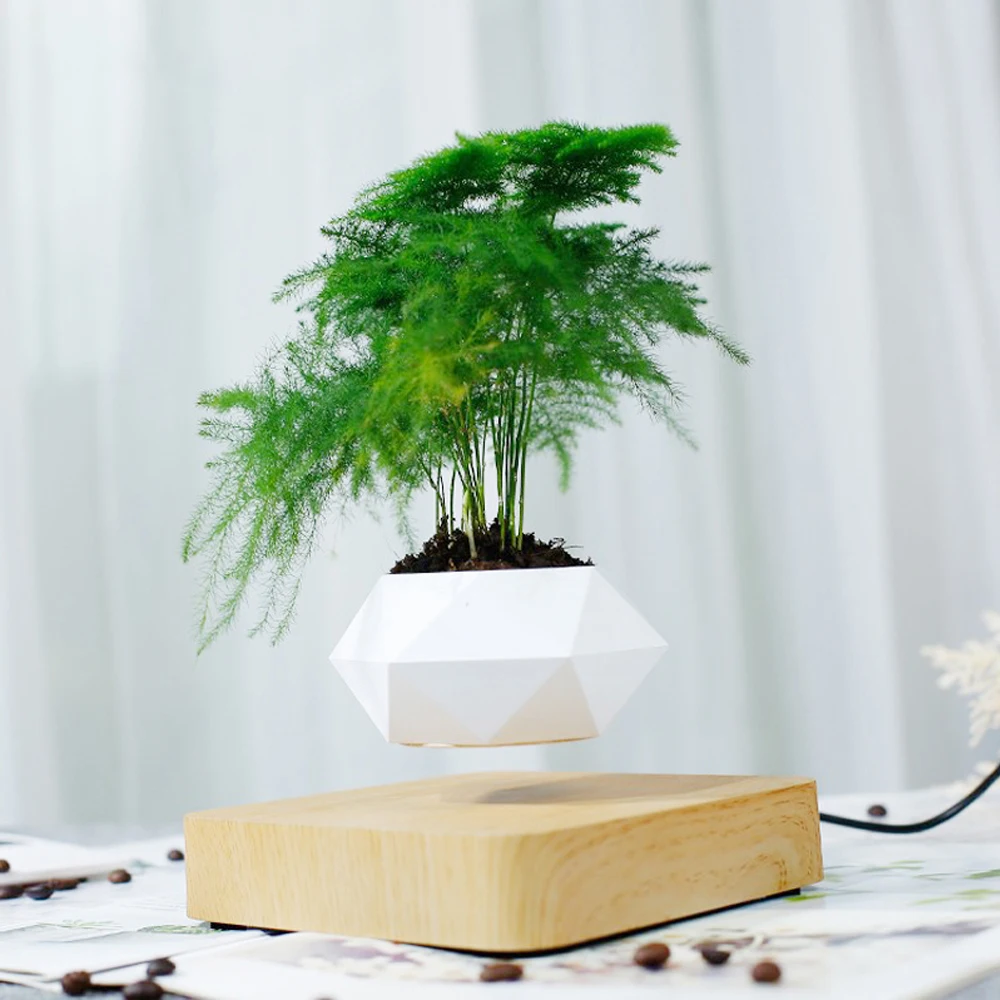 Novelty Magnetic Levitation Lamp Rotation Air Bonsai Light Floating Potted Plant Table Lamp For Home Living Room Decor Lighting