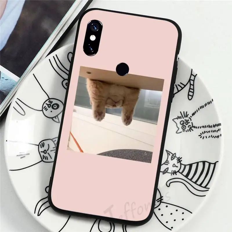 

Literary cat interesting Cute animal Phone Case For Xiaomi Redmi note 7 8 9 t k30 max3 9 s 10 pro lite