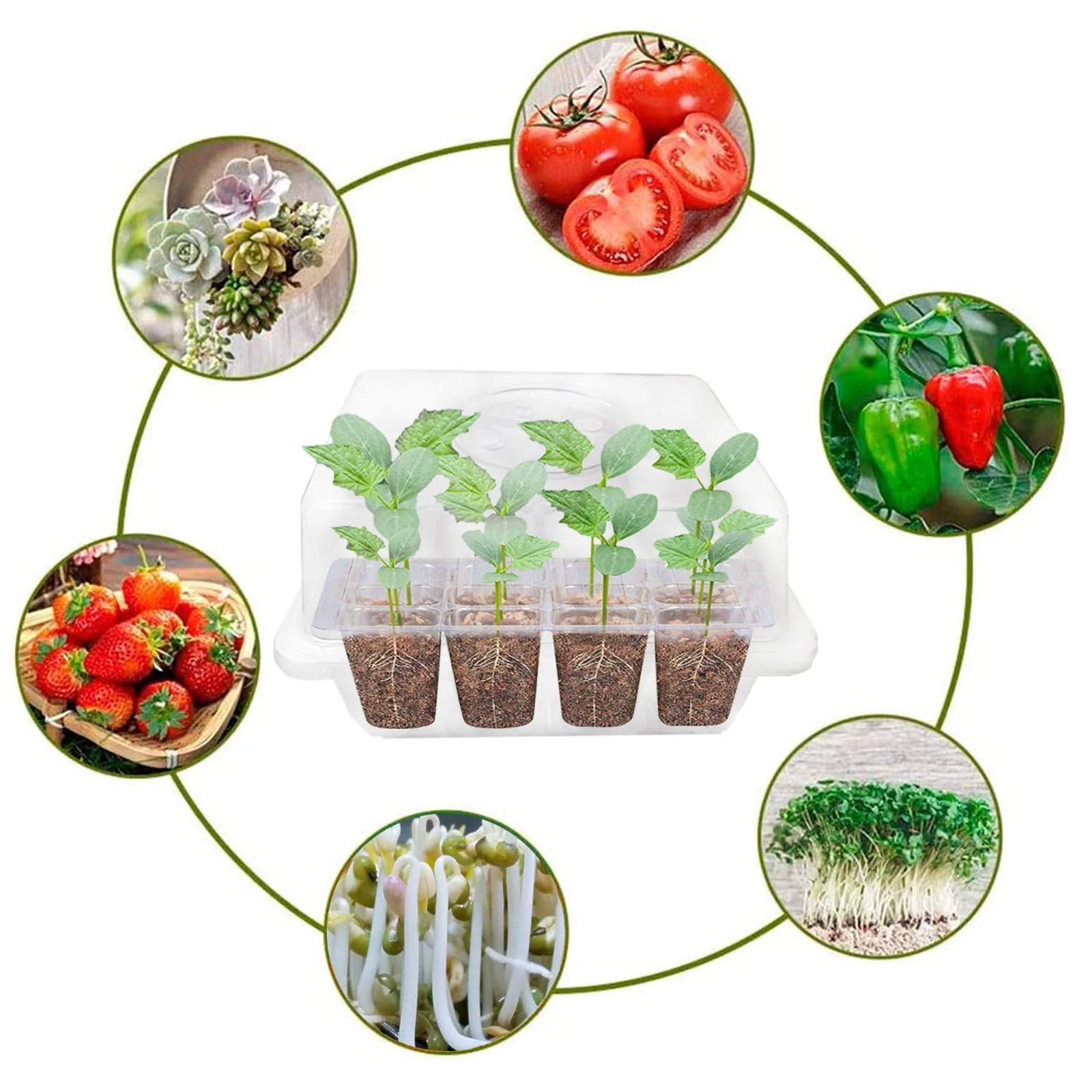 

25# Gardening Garden Nursery Box Flower Seeds Growth Tray Seedling Germination Starter Jardin Plant Grows Garden Pots Planters