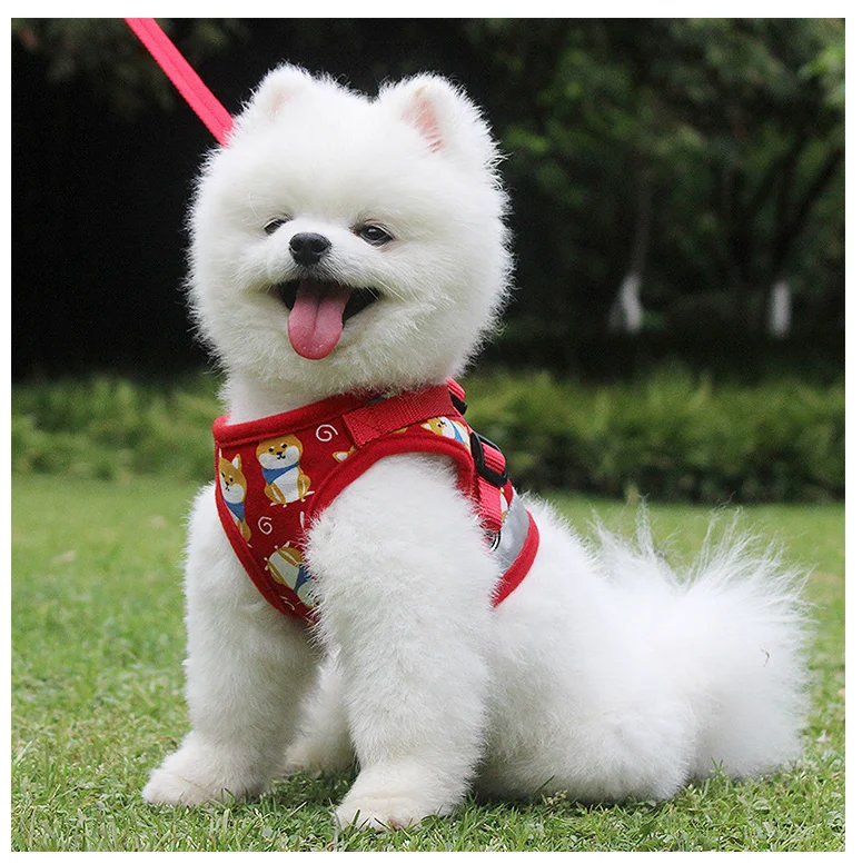 

2021 New Cartoon Vest-style Dog Cat Harnesses Vest Reflective Pet Chest Harness Small Medium-sized Dog Pet Leash Accessories
