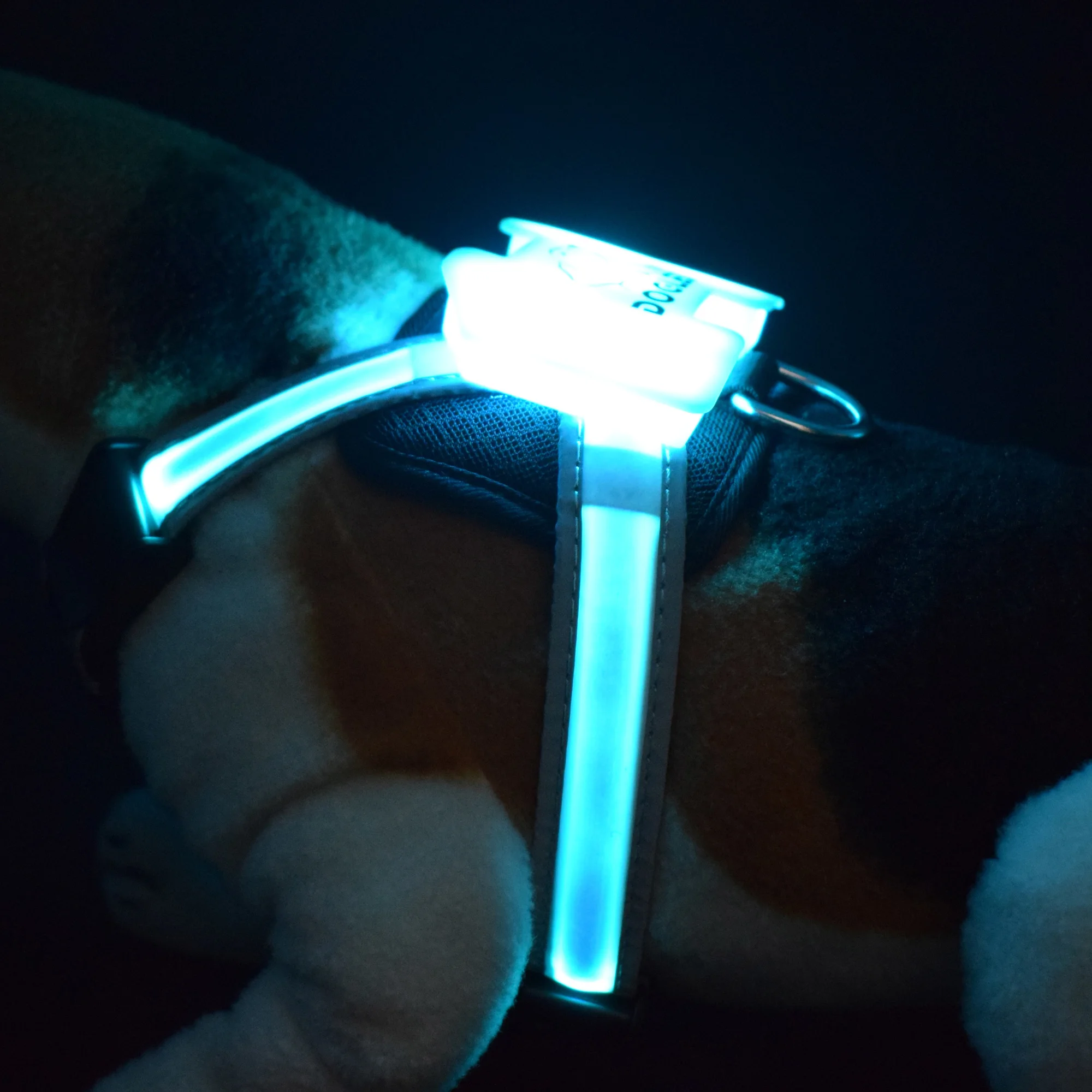 

China simon Manufacturers CC Wholesale Dog Harness High Quality Harness Leash Set USB dog strap harness