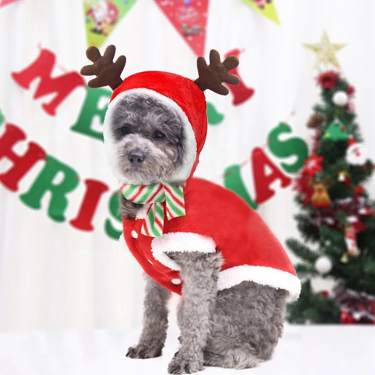 

Pet Products