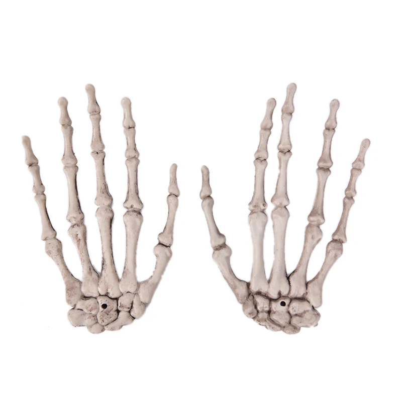 Модель человеческого анатомического костного скелета помощь в обучении