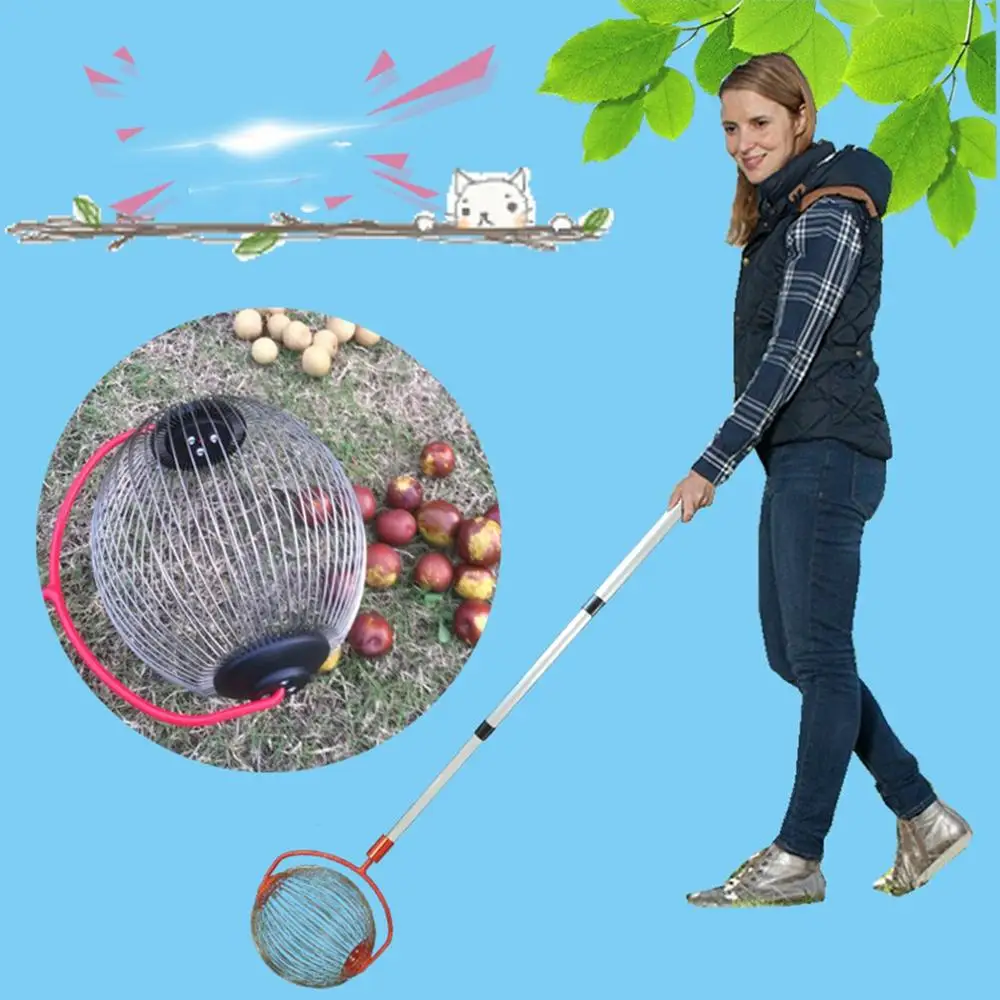 

Practical Large-Volume Collection Tool Large Amount Favorably With Free Collector Basket Nuts Collector Garden Tools