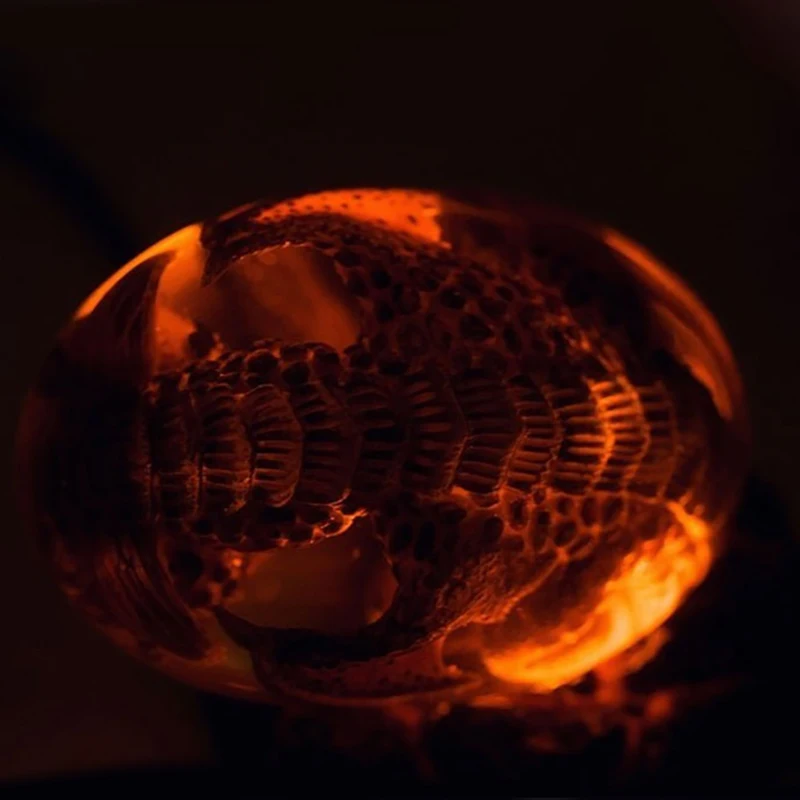 Прозрачный Дракон яйцо Лава Динозавр декоративный коллекционный сувенир