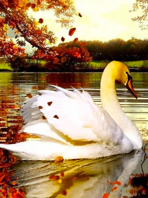 

Алмазная 5D картина «сделай сам», полноформатная круглая мозаика с лебедями, Набор для вышивки крестиком, картина для стразы, домашний декор