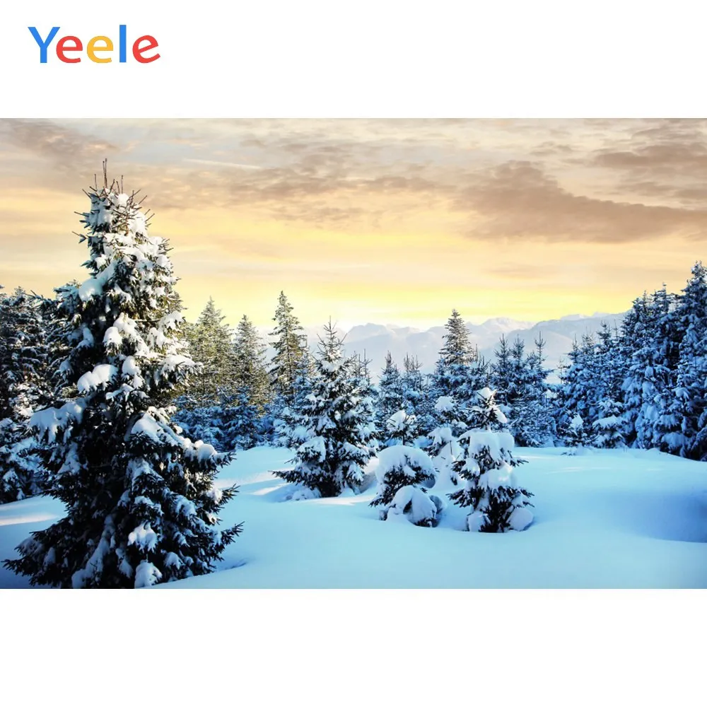 NBK24954 Yeele Winter Landscape Snow Pine Nice Sky Sunshine Photography Backdrop Personalized Photographic Background For Photo Studio - Цвет: NBK24954