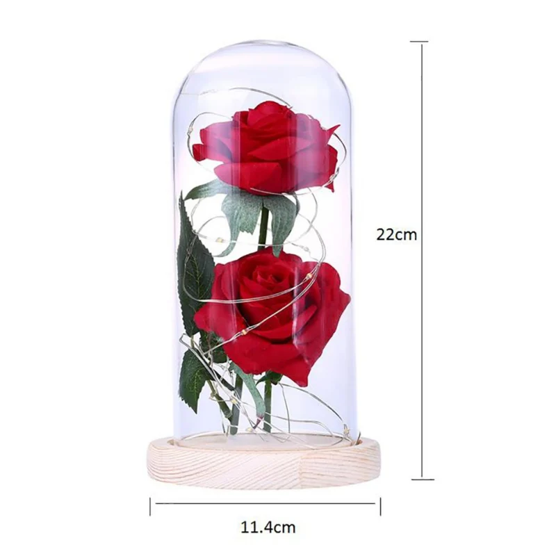 

LED Eternal Flowers Valentine's Day Birthday Christmas Day Gift Double Rose in Dome Light Up Beauty and The Beast Roses