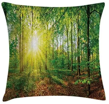 

Pooizsdzzz Fore Throw Pillow Cushion Cover, Gde in Fore at Sunset Eveg Meadow Greennd Mother Earth Wildlife Picture, Decorative