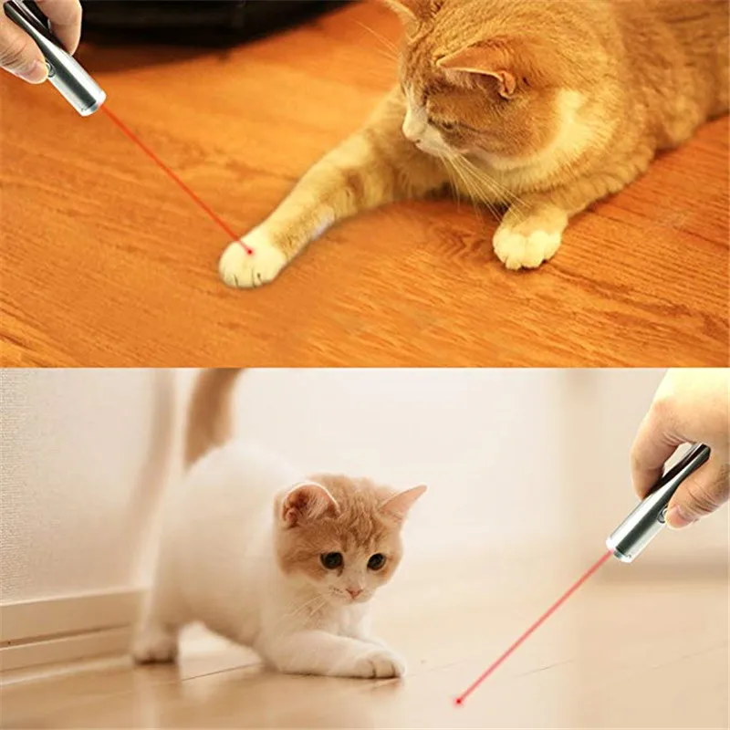 

2 In 1 Multitool Funchinal Laser Toys For Cats Pet Laser Pen Chaser Interactive Toys Training Tools With Led Flash Light Outdoor