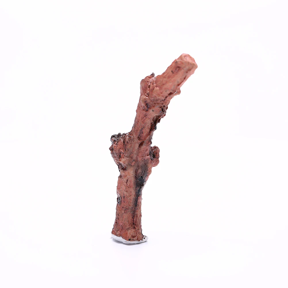 Суккуленты микро ландшафтное украшение сделай сам Террариум аксессуары сухие |